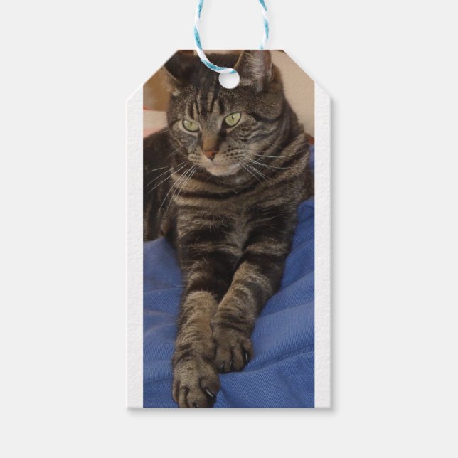 Regal Dave Gift Tag Geschenkanhänger (Vorderseite)