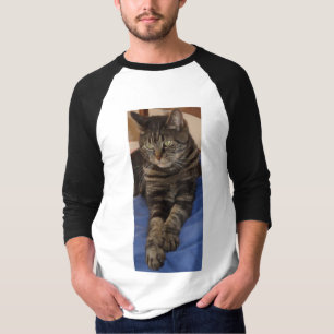 Regal Dave Men Raglan T - Shirt
