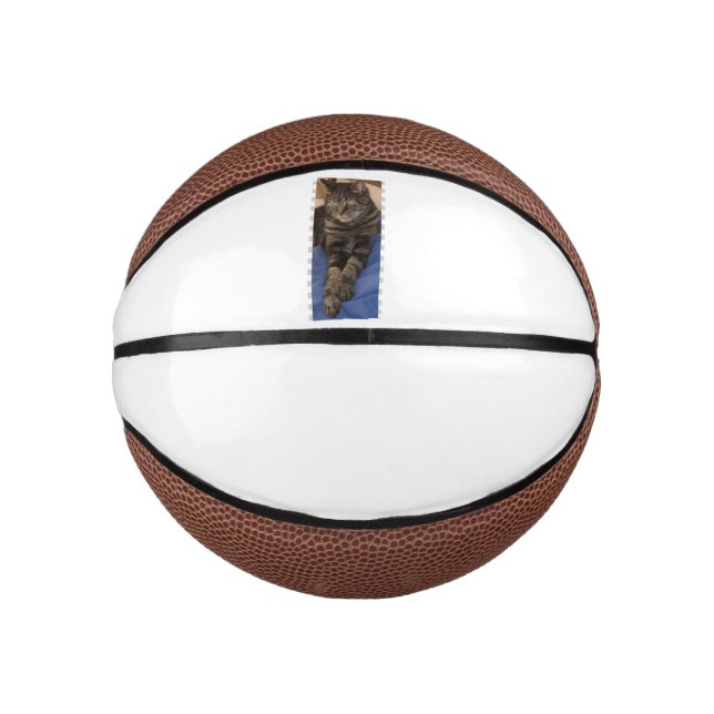 Regal Dave Mini Basketball (Vorderseite)