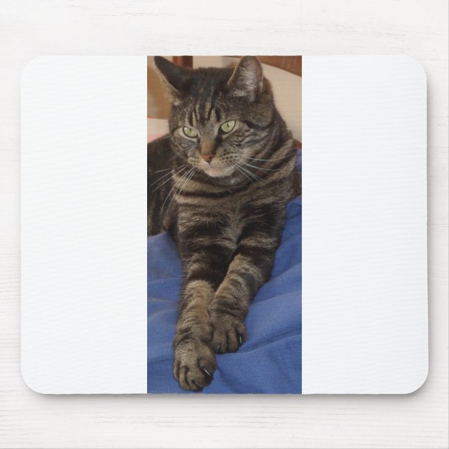 Regal Dave Mousepad (Vorne)