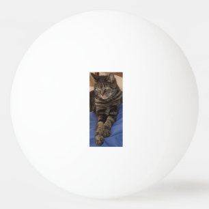 Regal Dave One Star Ping Pong Ball Tischtennisball