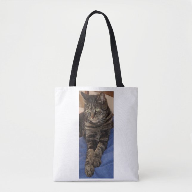 Regal Dave Shoulder Tote Bag Tasche (Vorderseite)