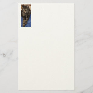 Regal Dave Stationery Briefpapier