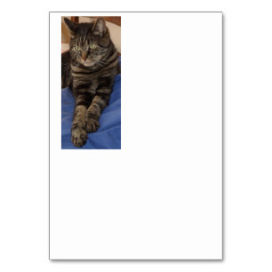 Regal Dave Table Card Tischnummer
