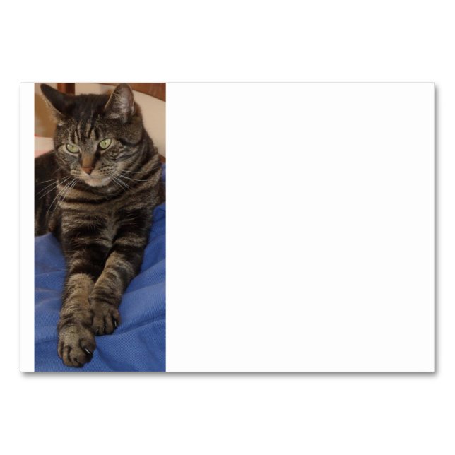 Regal Dave Table Cards Tischnummer (Vorderseite)