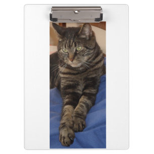 Regal Dave Ultra Sturdy A4 Clipboard Klemmbrett