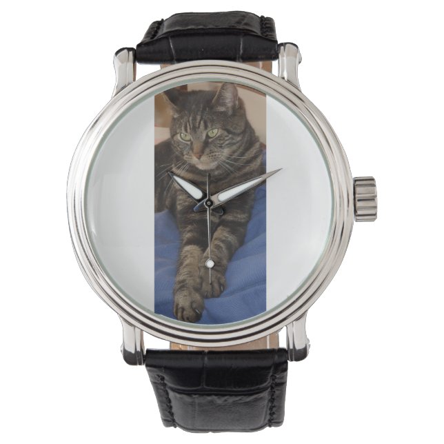 Regal Dave Watch Armbanduhr (Vorderseite)