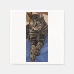 Regal Dave White Standard Napkins Serviette