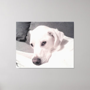 Regal Elegant blanc Chien Chien Gris toile Imprime