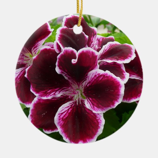Regal Geranium Flowers Elegant Maroon Floral Lugga Keramik Ornament (Vorne)