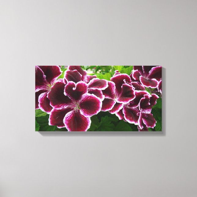 Regal Geranium Flowers Elegant Maroon Floral Lugga Leinwanddruck (Vorderseite)
