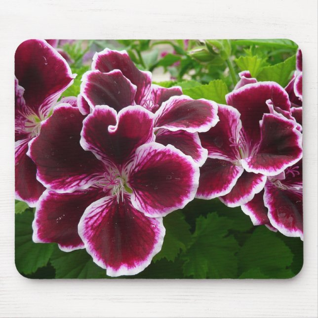 Regal Geranium Flowers Elegant Maroon Floral Lugga Mousepad (Vorne)