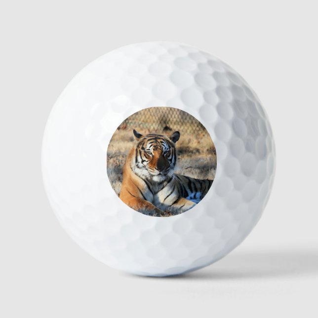 Regal Golfball (Vorderseite)