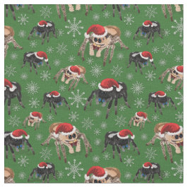 Regal Jumping Spider Phiddipus Regius Holiday Moss Stoff