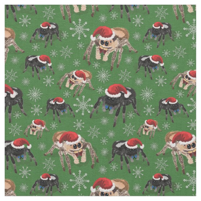 Regal Jumping Spider Phiddipus Regius Holiday Moss Stoff (Nahaufnahme)