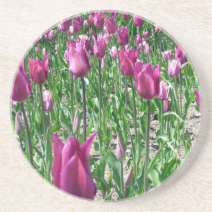 Regal Lila Tulips Getränkeuntersetzer