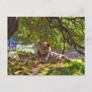 REGAL LION POSTKARTE