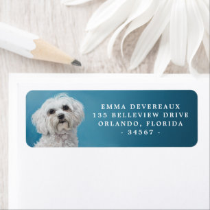 Regal Maltese Hunde-Rücksendeadresse