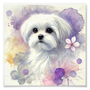 Regal Maltese Watercolor Print Fotodruck