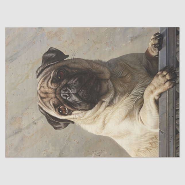 Regal Mops Decoupage Seidenpapier (Vorderseite)