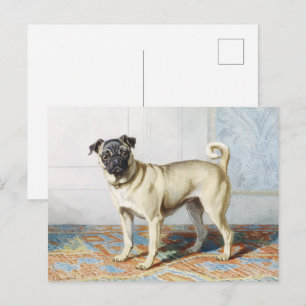 Regal Mops Dog Portrait von Conradijn Cunaeus Postkarte