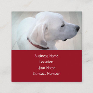 Regal Niedliches White Labrador Mix Dog Profil Rot Quadratische Visitenkarte