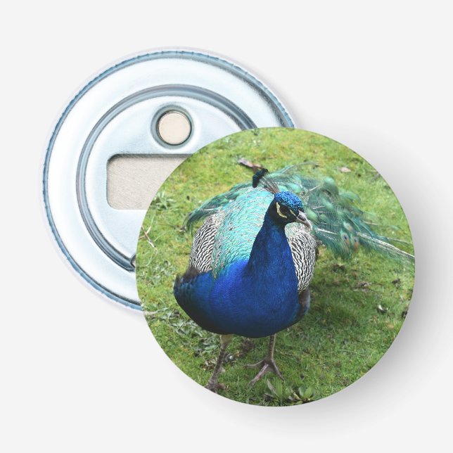 Regal Peacock Power Flaschenöffner (Vorderseite)