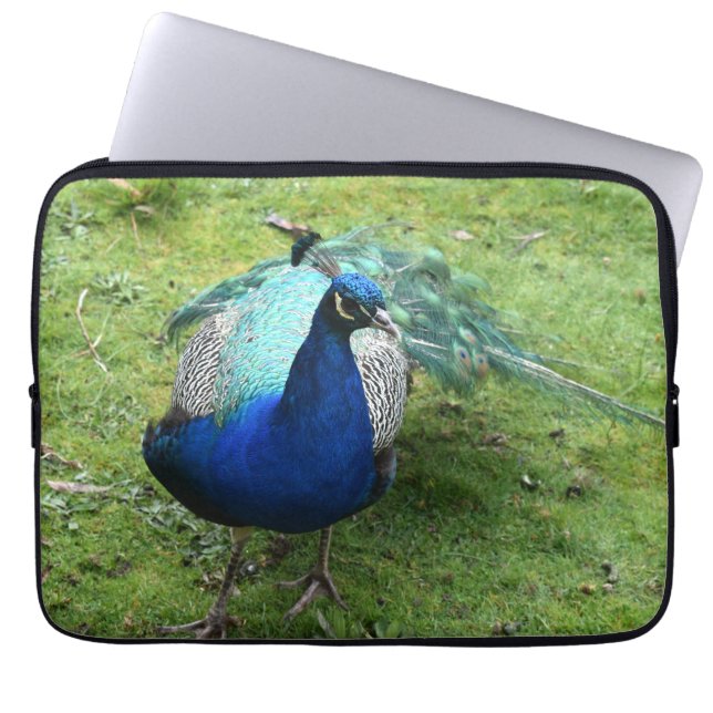 Regal Peacock Power Laptopschutzhülle (Vorderseite)