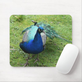 Regal Peacock Power Mousepad