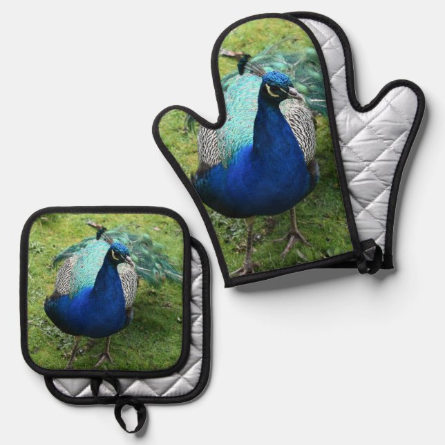 Regal Peacock Power Ofenhandschuh & Topflappen-Set (Vorderseite/Rückseite)