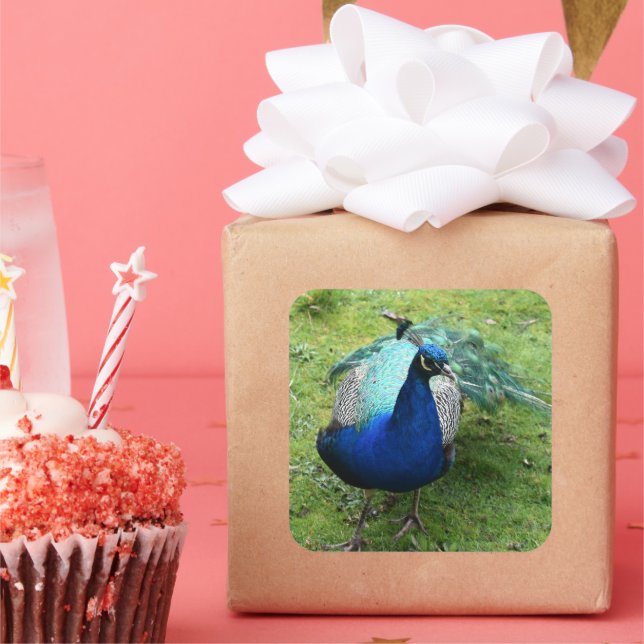 Regal Peacock Power  Quadratischer Aufkleber (Party)