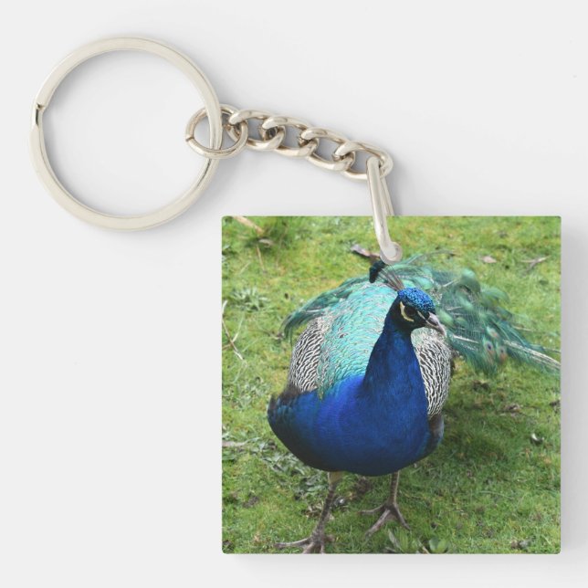 Regal Peacock Power  Schlüsselanhänger (Vorderseite)