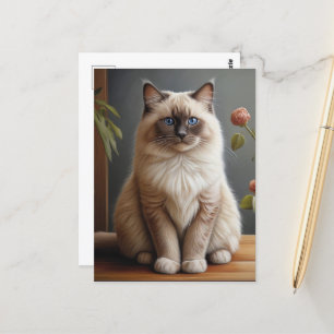 Regal Ragdoll Cat Portrait Fluffy Blue Mit Augen Postkarte