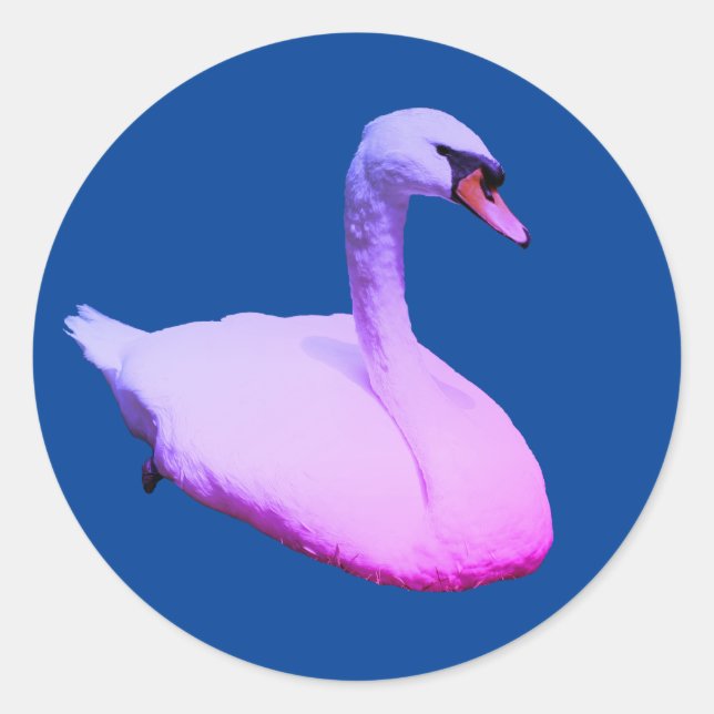 Regal Swan Wildlife Animal Tinted Runder Aufkleber (Vorderseite)