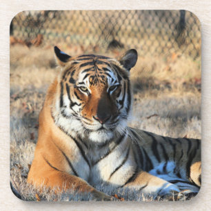 Regall Getränkeuntersetzer