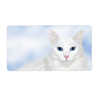 Regalweiße Katze