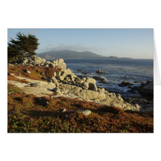 Regard du sud à Carmel