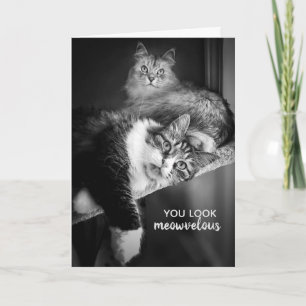 Regard Meowvelt carte d'anniversaire