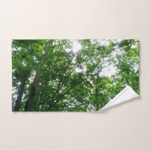 Regardant les arbres d'été