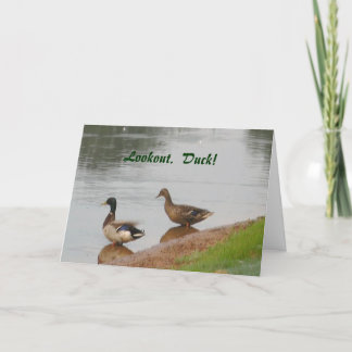 Regarde. Canard ! Carte d'anniversaire