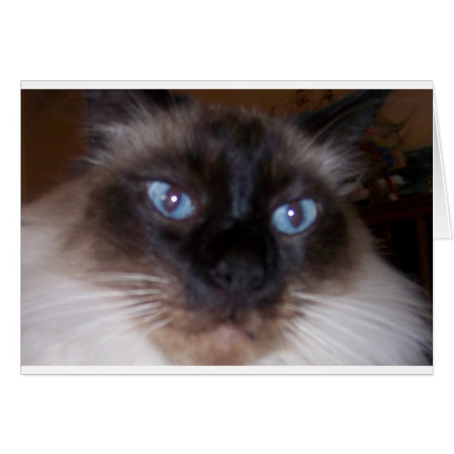 Regarder Dans Mes Yeux (Devant horizontal)