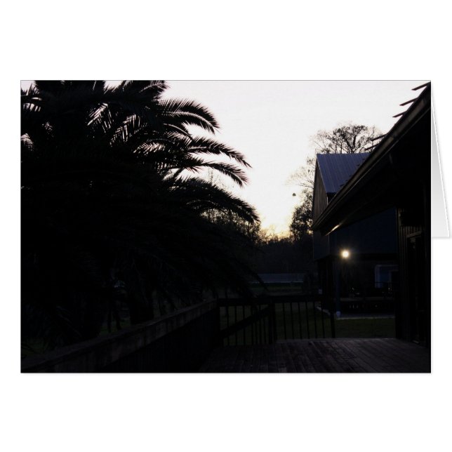 Regarder le coucher du soleil (Devant horizontal)