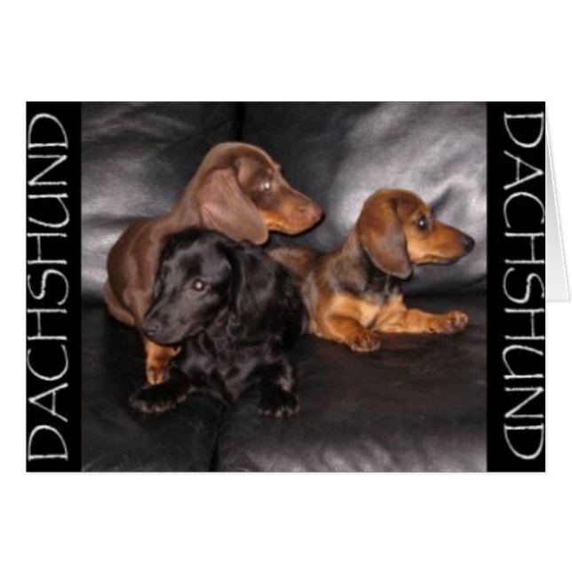 Regardez L'Autre Voie (Devant horizontal)