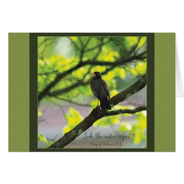 Regardez l'hiver passé la carte Parakaleo (Devant Horizontal)