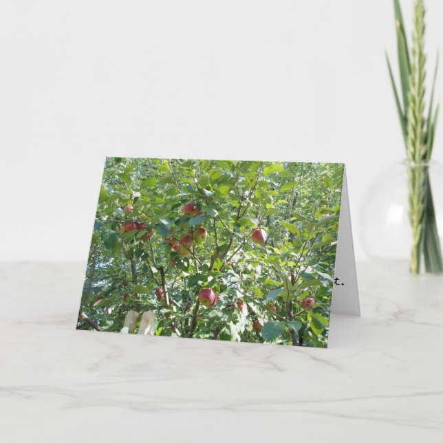 "Regardons dans l'arbre d'Apple" Carte de félicita (Devant)
