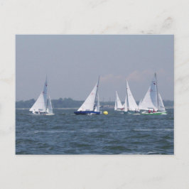 Regatta Sailing Postcard Postkarte
