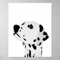 Regel für Dalmatiner-Spots
