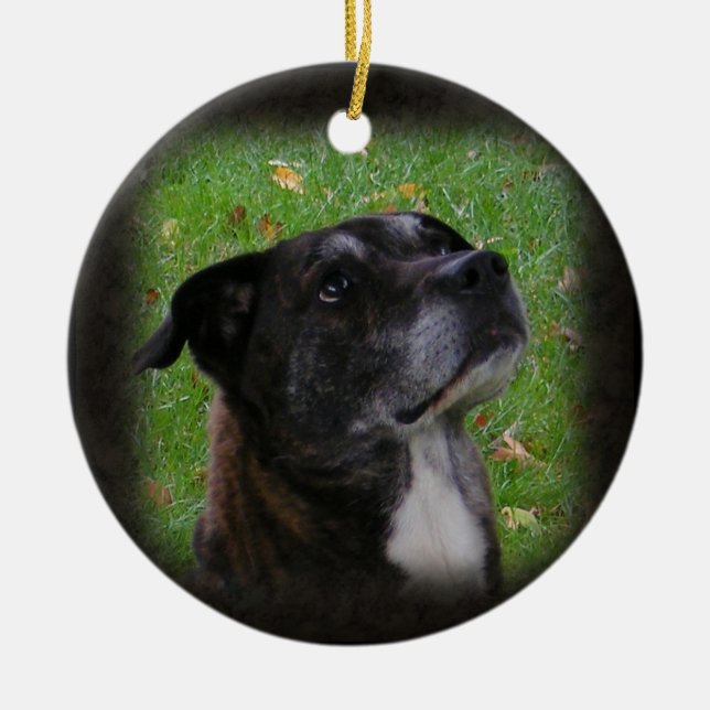 Regelmäßige Hund~ Verzierung Keramikornament (Vorne)