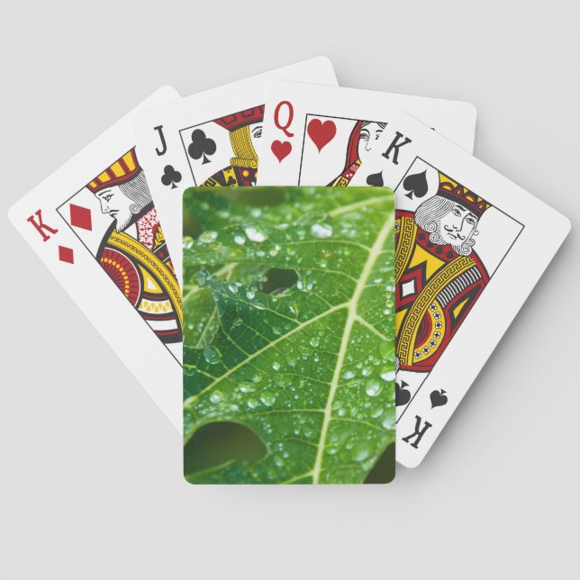 Regen fällt auf grünem Papayaeilef Spielkarten (Rückseite)