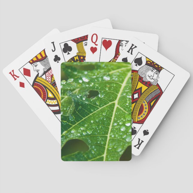 Regen fällt auf grünem Papayaeilef Spielkarten (Rückseite)